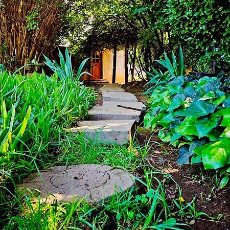 Bird Haven Guesthouse Hlotse Экстерьер фото