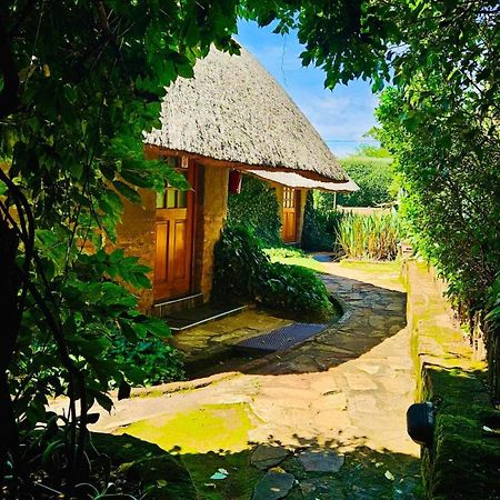 Bird Haven Guesthouse Hlotse Экстерьер фото